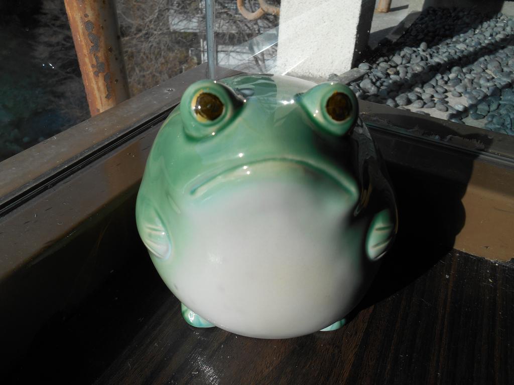 Kinugawaonsen Fukumatsu Hotel Nikkō Luaran gambar